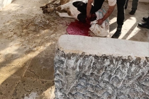 Savaşın Başında 175 Küçük Kız Çocuğu Şehit Edilen İran' da Kurban Kesimi