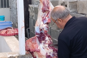 Savaşın Başında 175 Küçük Kız Çocuğu Şehit Edilen İran' da Kurban Kesimi