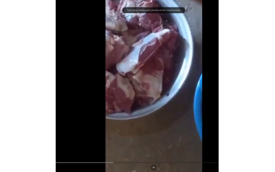 Afganistan'da Kuyruğu Büyük Koyunlar Makbul Koyunlarmış Bu Yüzden Bizde Bunlara Dikkat Ederek Alıyoruz.