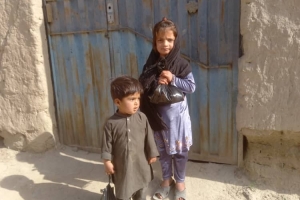 Küçükbaş Hayvan Hediyemiz