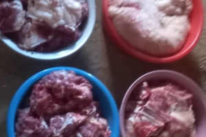 Küçükbaş Hayvan Hediyemiz