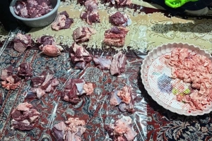 Savaşın Başında 175 Küçük Kız Çocuğu Şehit Edilen İran' da Kurban Kesimi