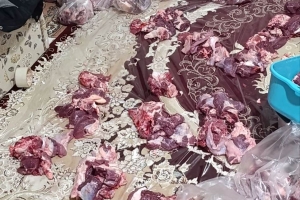 İran' da Kurban Kesim İbadeti Yerine Getirilmiştir