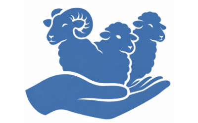 Küçükbaş Yardımı